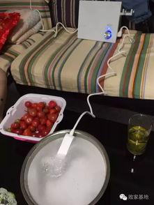 洗菜个人资料,洗菜的个人食材守护之旅